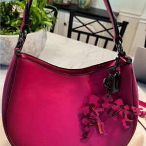 Coach Mae Crossbody Bag with RARE STEGGY Key Ring Bag Charm NWOT TV